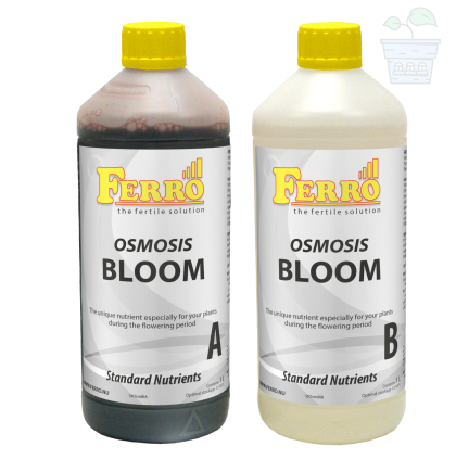 Ferro OSMOSIS BLOOM A&B 2x1L