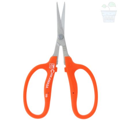 Chikamasa B-250 Professional Japanese bonsai scissors