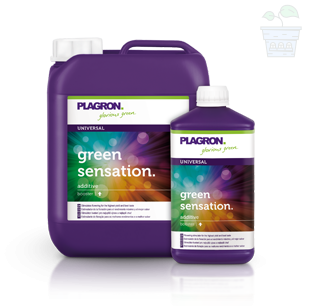 PLAGRON Green Sensation 5L