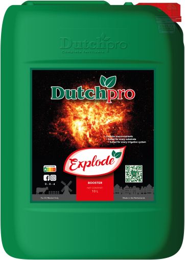 Dutchpro Explode 10л. - цъфтежен бустер (за максимални добиви)