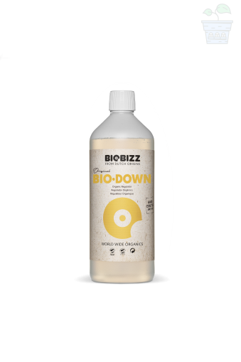 BioBizz Bio - down 1L