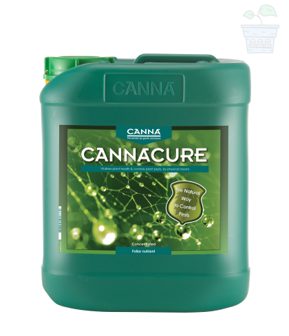 CANNACURE 5L