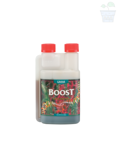 CANNA BOOST Accelerator 250ml