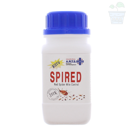 ARTS Spired 250ml