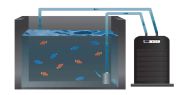 Hailea HC-300A Chiller 1000 - 2500l/h - Chiller / cooler for tanks / aquariums