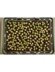 Organic Green Pea seeds - 400 g