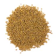 Organic White Mustard seeds for microgreens - 100 g