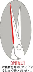 Professional garden shears for picking fruits, vegetables and flowers, 185 mm - CHIKAMASA T-550