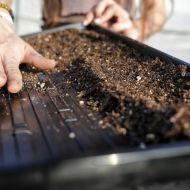 Flexible tray with large drainage holes for micro plants and seedlings 31 x 51 x 4 cm