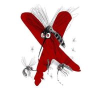 "Mosquito free zone" - Anti Mosquito mix (seeds of flowers and herbs) - for 5 m2 (5 g)