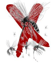 "Mosquito free zone" - Anti Mosquito mix (seeds of flowers and herbs) - for 5 m2 (5 g)