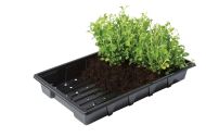 Garland Professional Seed tray, 37 x 23.5 x 6 cm (with holes)