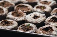 Jiffy-7 39mm. - Pressed peat pellets / plugs / washers - 1000pcs. (box) - New standard in dimensions
