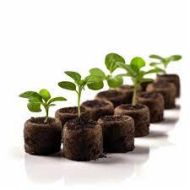 Jiffy-7 39mm. - Pressed peat pellets / plugs / washers - 1000pcs. (box) - New standard in dimensions