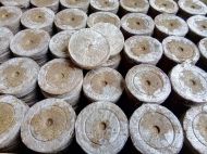 Jiffy-7 39mm. - Pressed peat pellets / plugs / washers - 1000pcs. (box) - New standard in dimensions