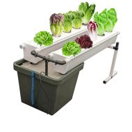 Terra Aquatica GrowStream10 V2 – Aero-hydroponic system for 10 plants