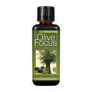Olive Focus 300мл. - тор за маслинови дръвчета