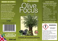 Olive Focus 300мл. - тор за маслинови дръвчета