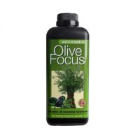 Olive Focus 1л. - тор за маслинови дръвчета