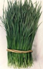Chinese chives seeds - 750 pcs (2.5 g)
