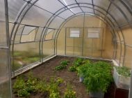 Прозорец / Капандура оранжерия Primaterra 