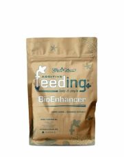GH Powder Feeding BioEnhancer - humic acids + algae extract (powder)