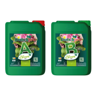 Dutchpro Soil Bloom A+B - fertilizer for flowering, for soil