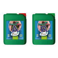 Dutchpro Hydro/Cocos Grow A+B - growth fertilizer, for hydro / coco