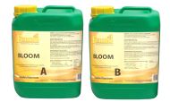 Ferro BLOOM A&B - flowering fertilizer (in soil / hydro, for tap water)