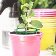 Irrigation ring for even distribution of water at the root