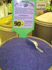 Цветя - Клитория тернатея (Clitoria ternatea) - Синя - 20 семена