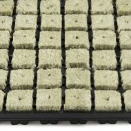 Grodan tray 150 rockwool cubes - for seedlings and cuttings